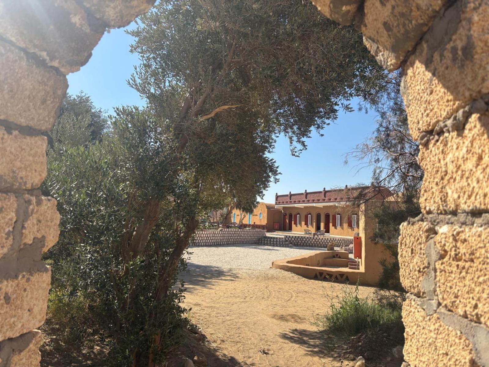 Beir El Gabal Hotel Qasr Dakhl 외부 사진